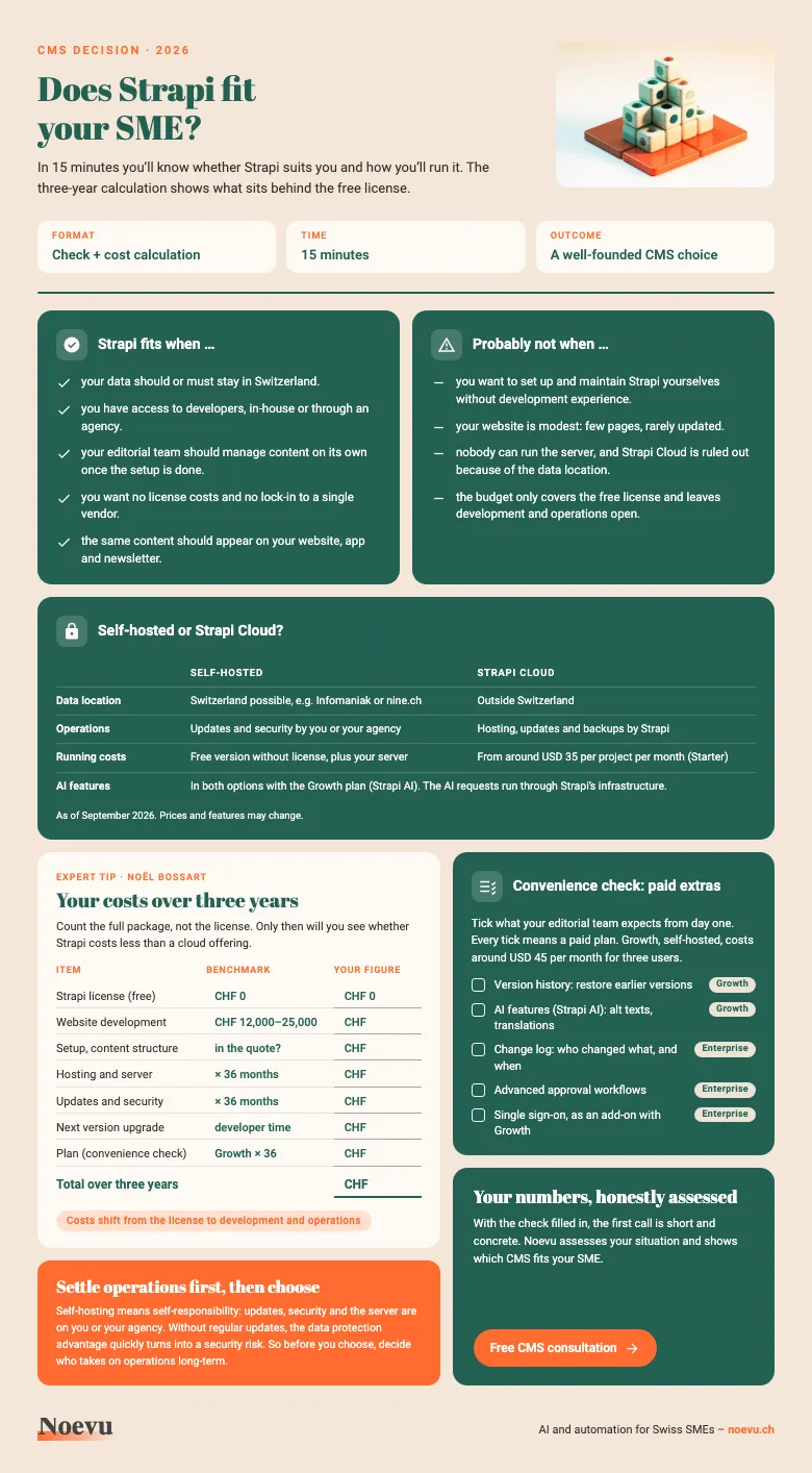 Preview: Does Strapi fit your SME? Decision check with a three-year cost calculation