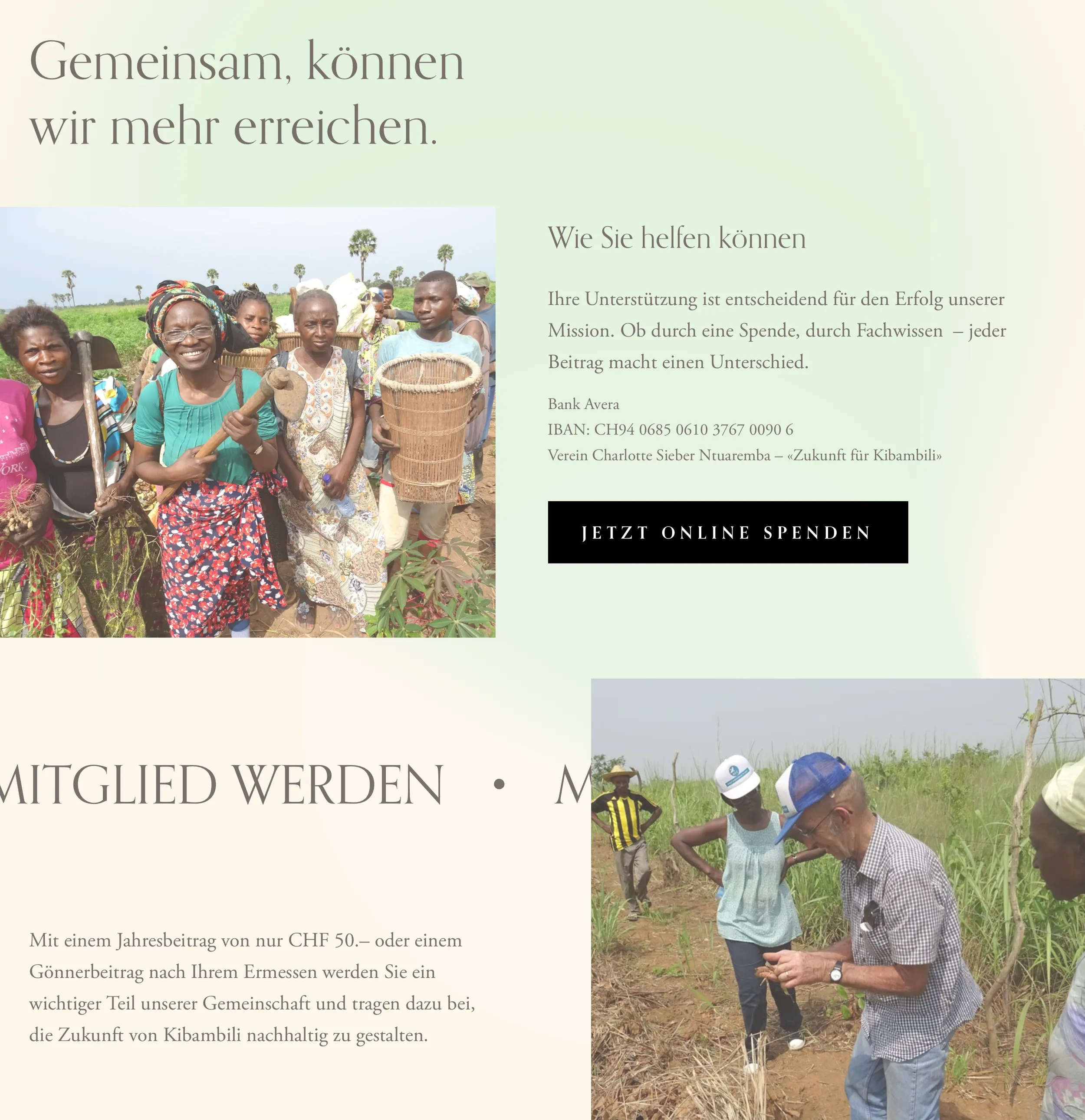 Mobile Ansicht der Kibambili-Webseite